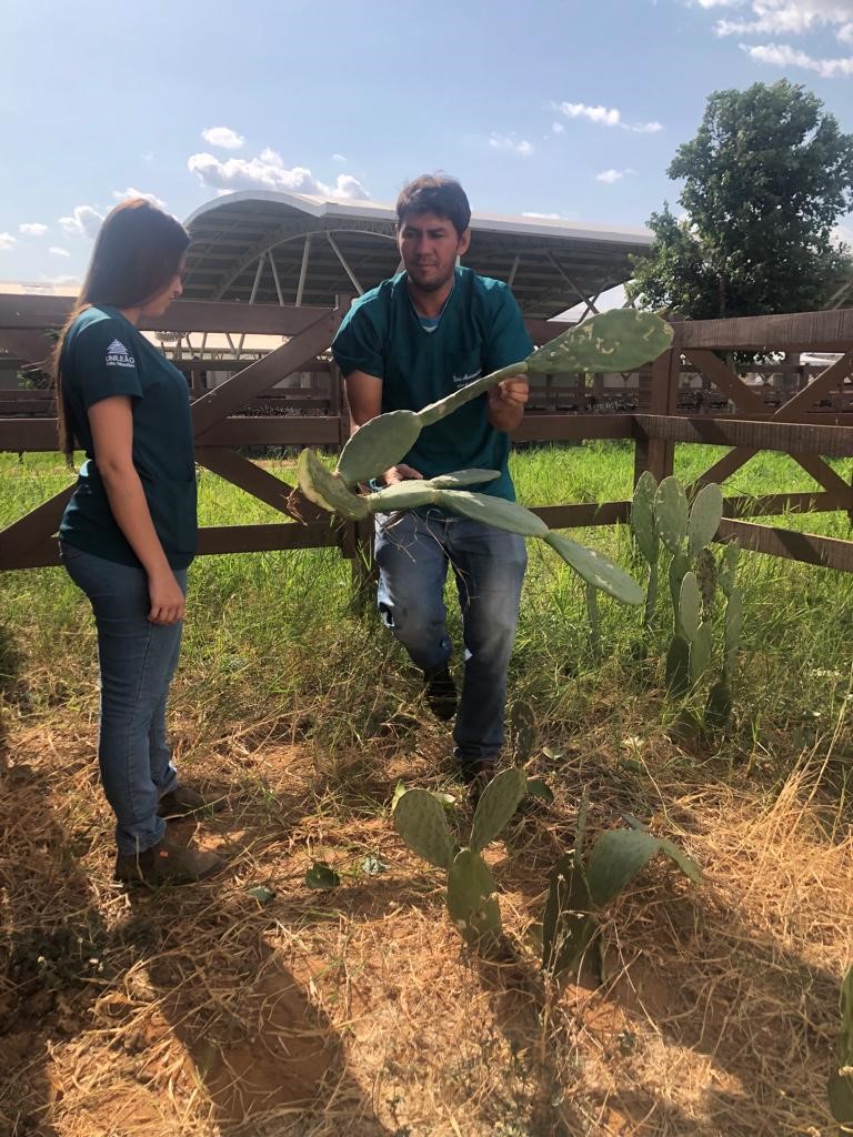 Animais e plantas adaptados ao semiárido na Fazenda-Escola da Unileão