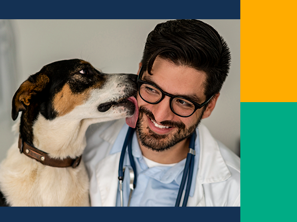 Medicina Veterinária realiza palestra sobre Saúde Única e Covid-19