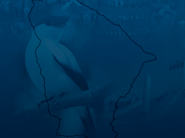 Unileão realiza o V Congresso Caririense de Enfermagem e 16ª Semana de Enfermagem