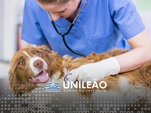 Grupo de Estudos de Animais Silvestres realiza palestras sobre zootecnia