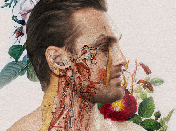 VI Mostra de Anatomia Humana Artística e Comparada