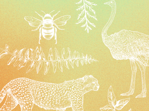 Unileão reitera apoio à preservação da natureza e dos animais neste dia 4 de outubro