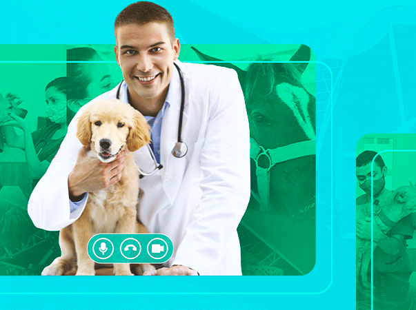Medicina Veterinária realiza a V Cerimônia do Jaleco