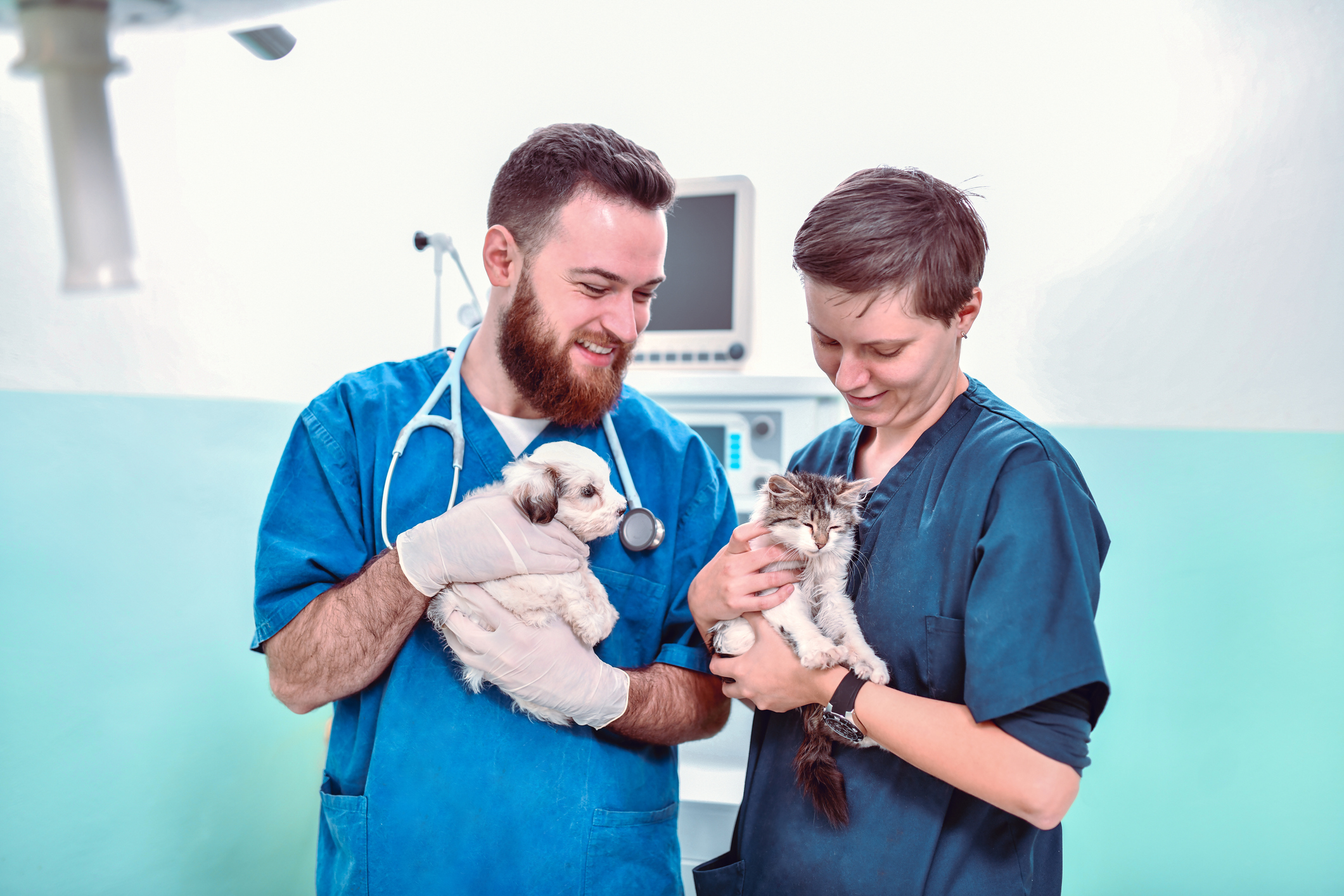 Clínica Médica e Cirúrgica de Pequenos Animais