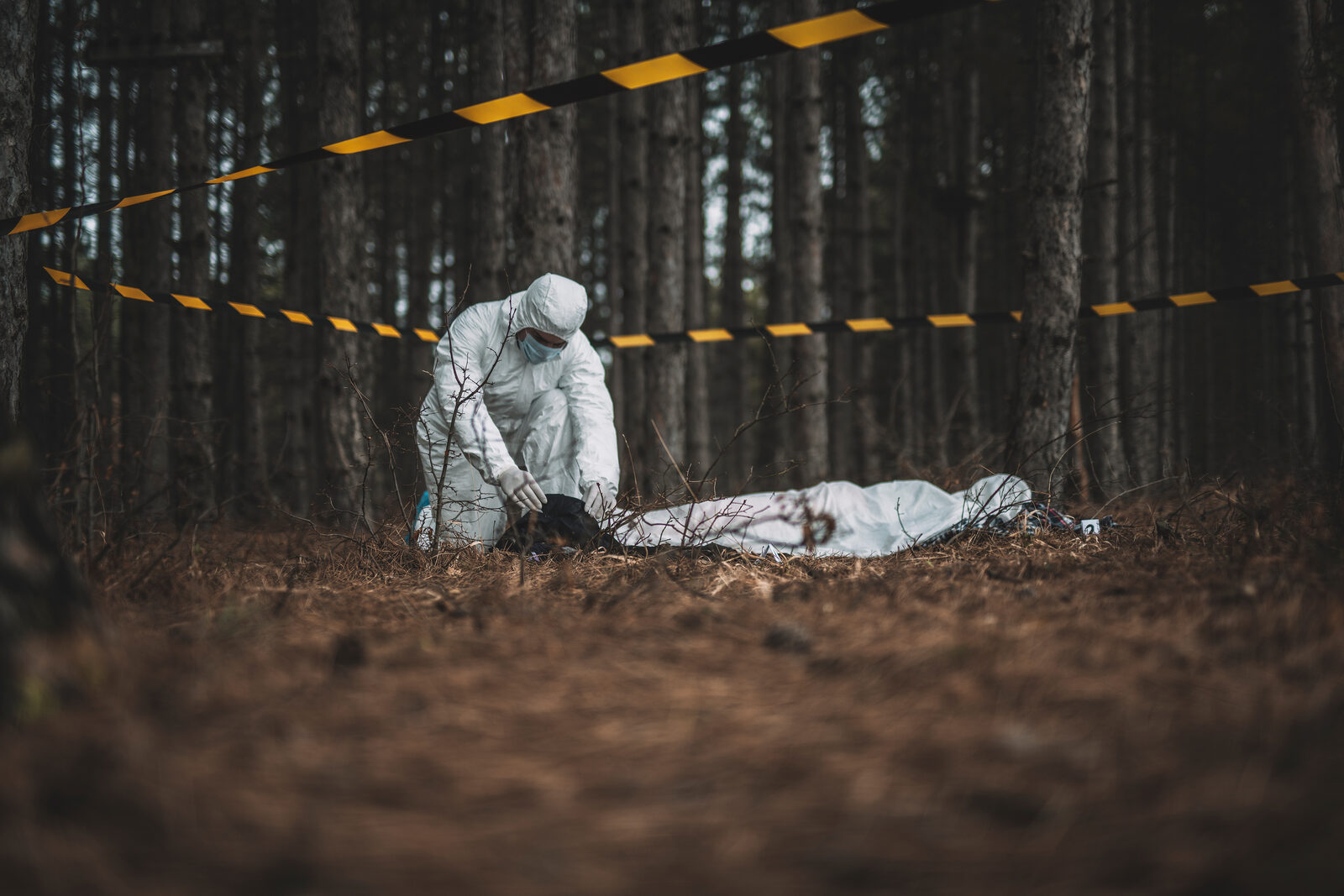 Necropsia e Tanatologia Forense