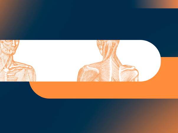 Formação em Anatomia Palpatória