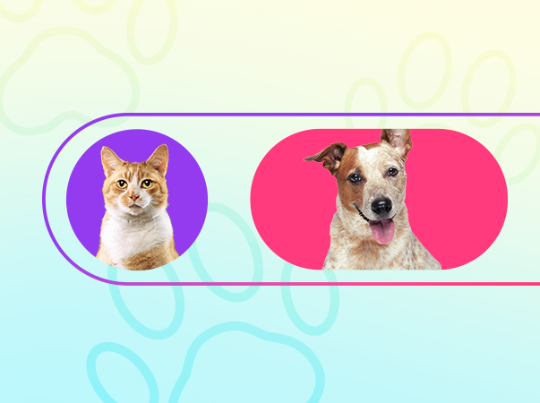 Unileão lança campanha Conviva Bem e alerta para regras de convivência com os animais dos campi