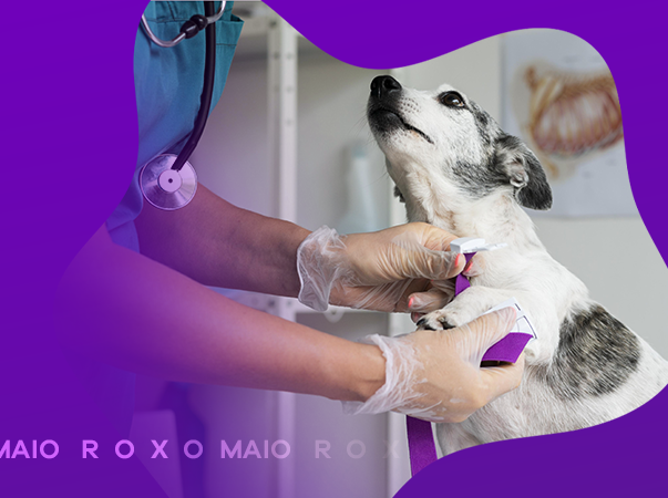 Maio Roxo: mês do paciente geriatra