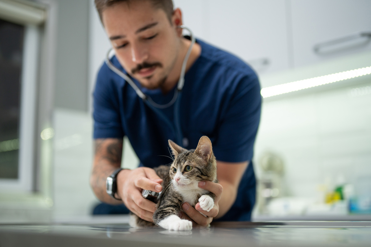 Clínica Médica de Pequenos Animais