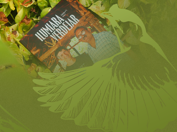 Vem aí a 2ª edição da Revista Ilumiara Verdejar: participe e compartilhe sua experiência
