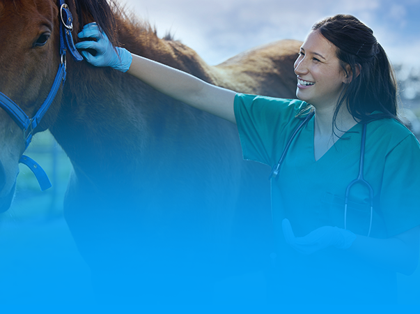 Unileão abre seleção para preceptores do curso de Medicina Veterinária